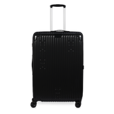 Check-In Luggage