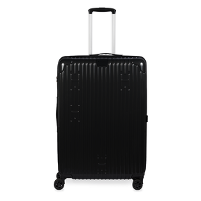 Check-In Luggage