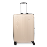 Check-In Luggage