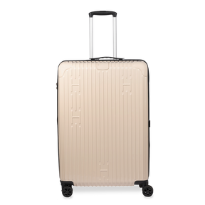 Check-In Luggage