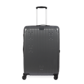 Check-In Luggage