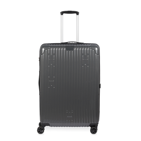 Check-In Luggage