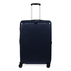 Check-In Luggage